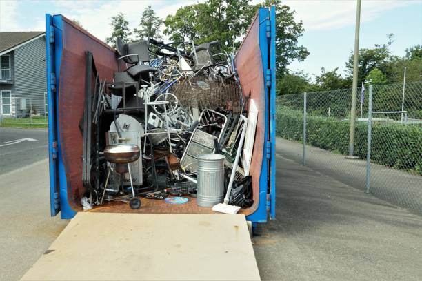 Best Construction Debris Removal  in International Falls, MN